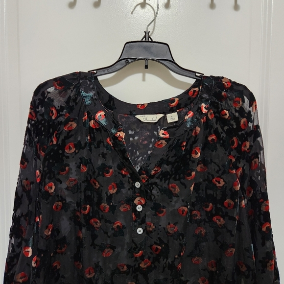 Cafe Marrakesh Women's L Sheer Velvet Burnout Floral Blouse Whimsigoth Feminine - Picture 3 of 8